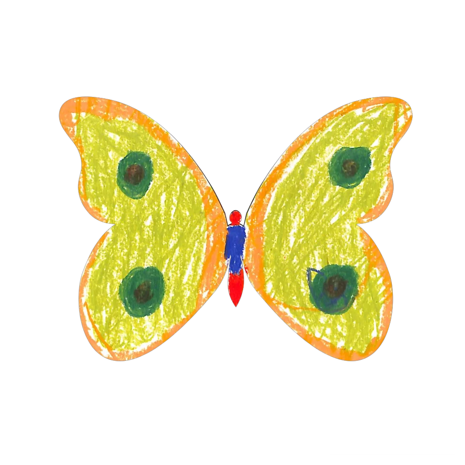 Original Butterfly Image