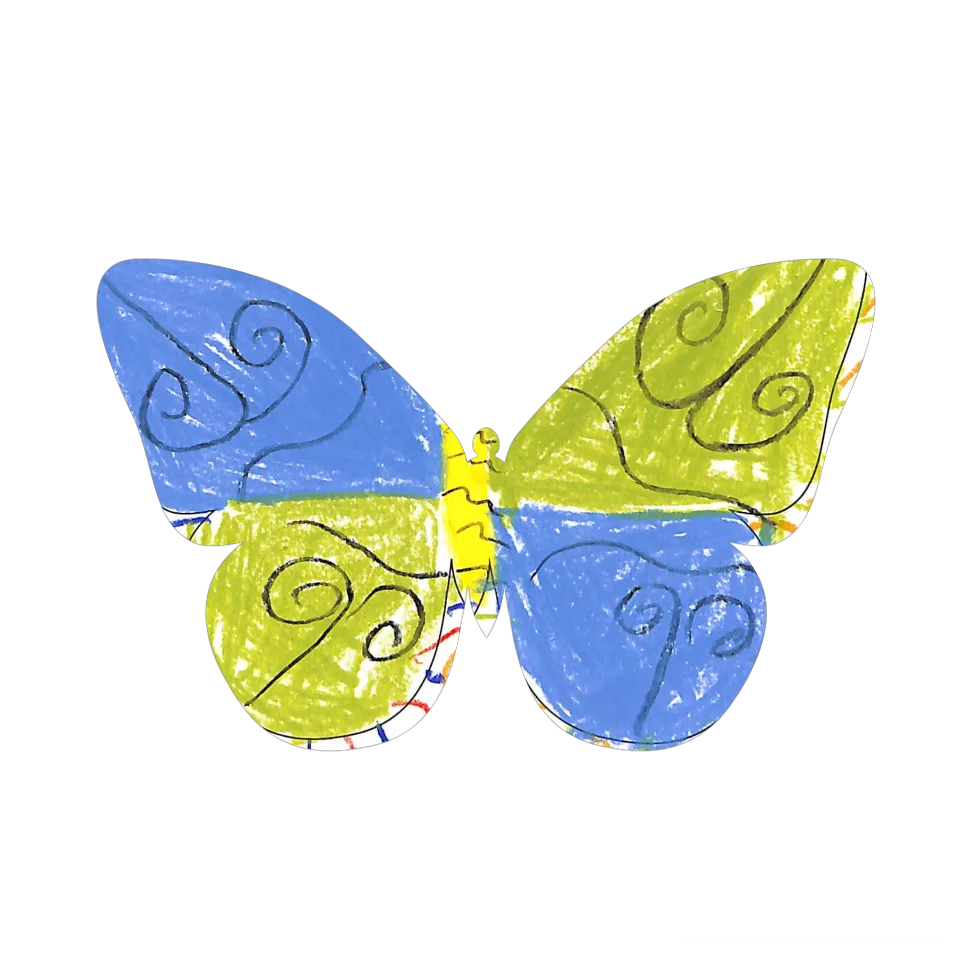 Original Butterfly Image