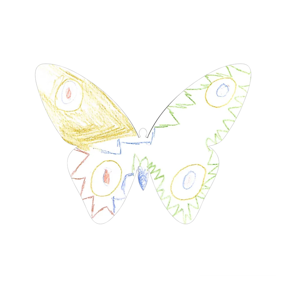 Original Butterfly Image