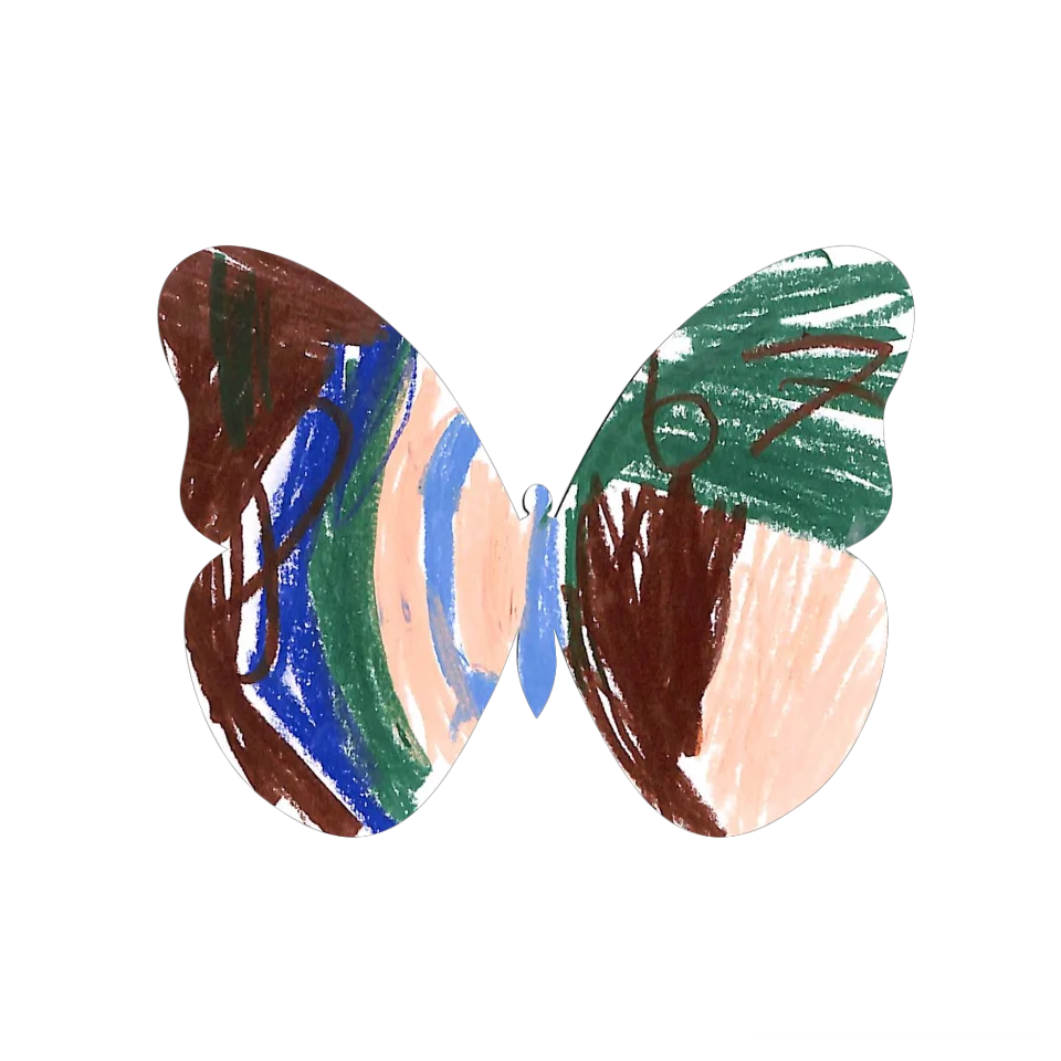 Original Butterfly Image