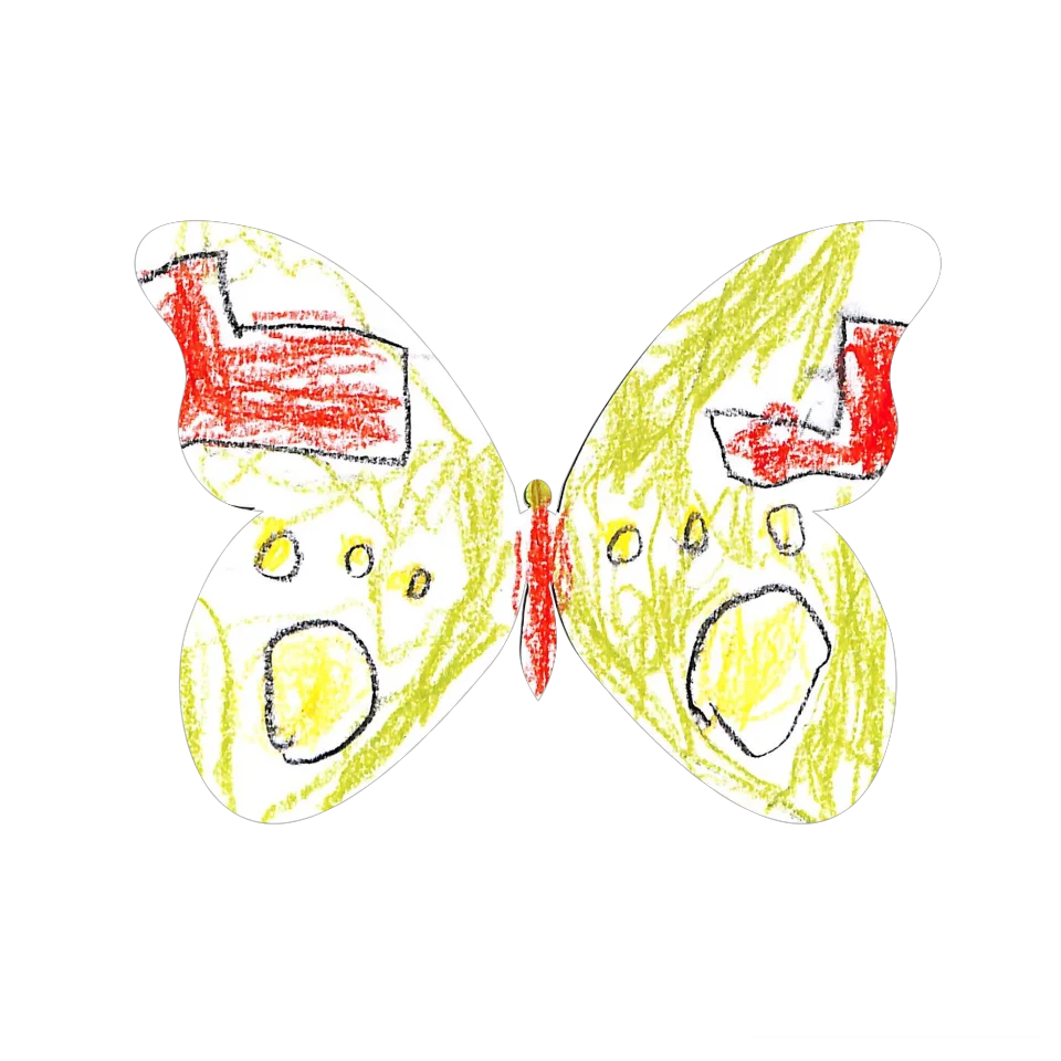 Original Butterfly Image