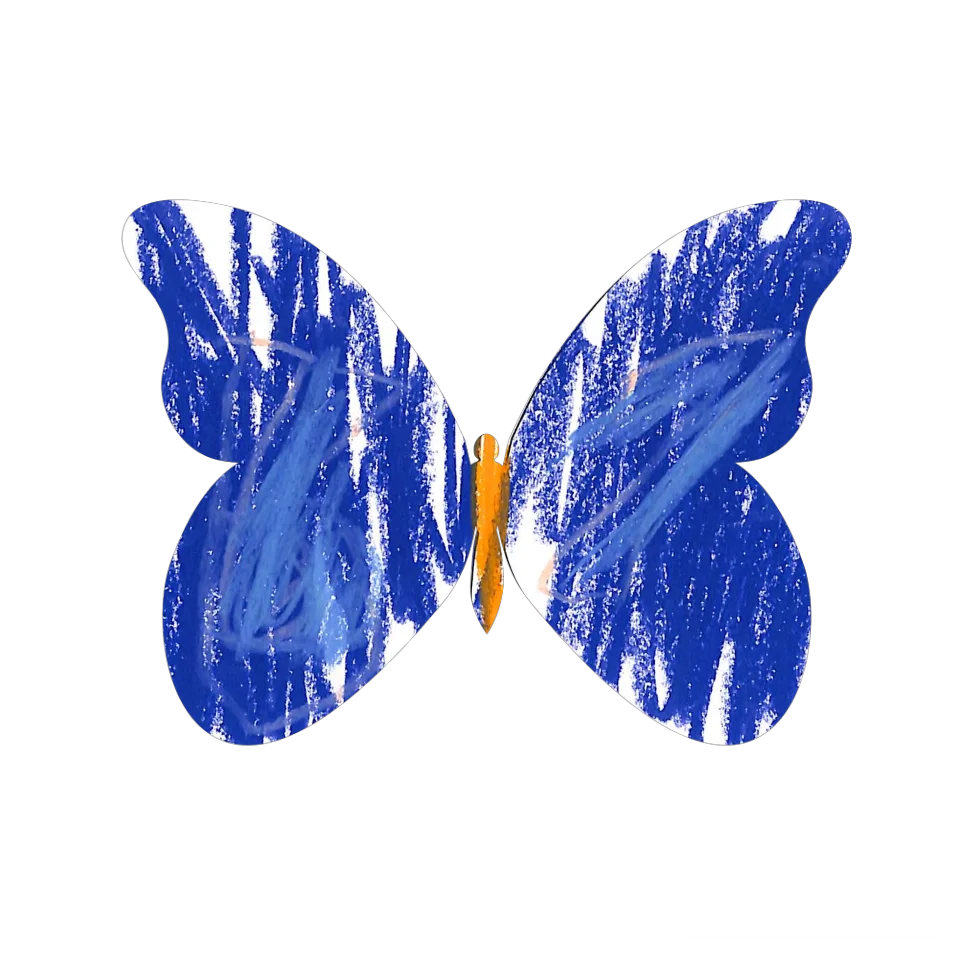 Original Butterfly Image