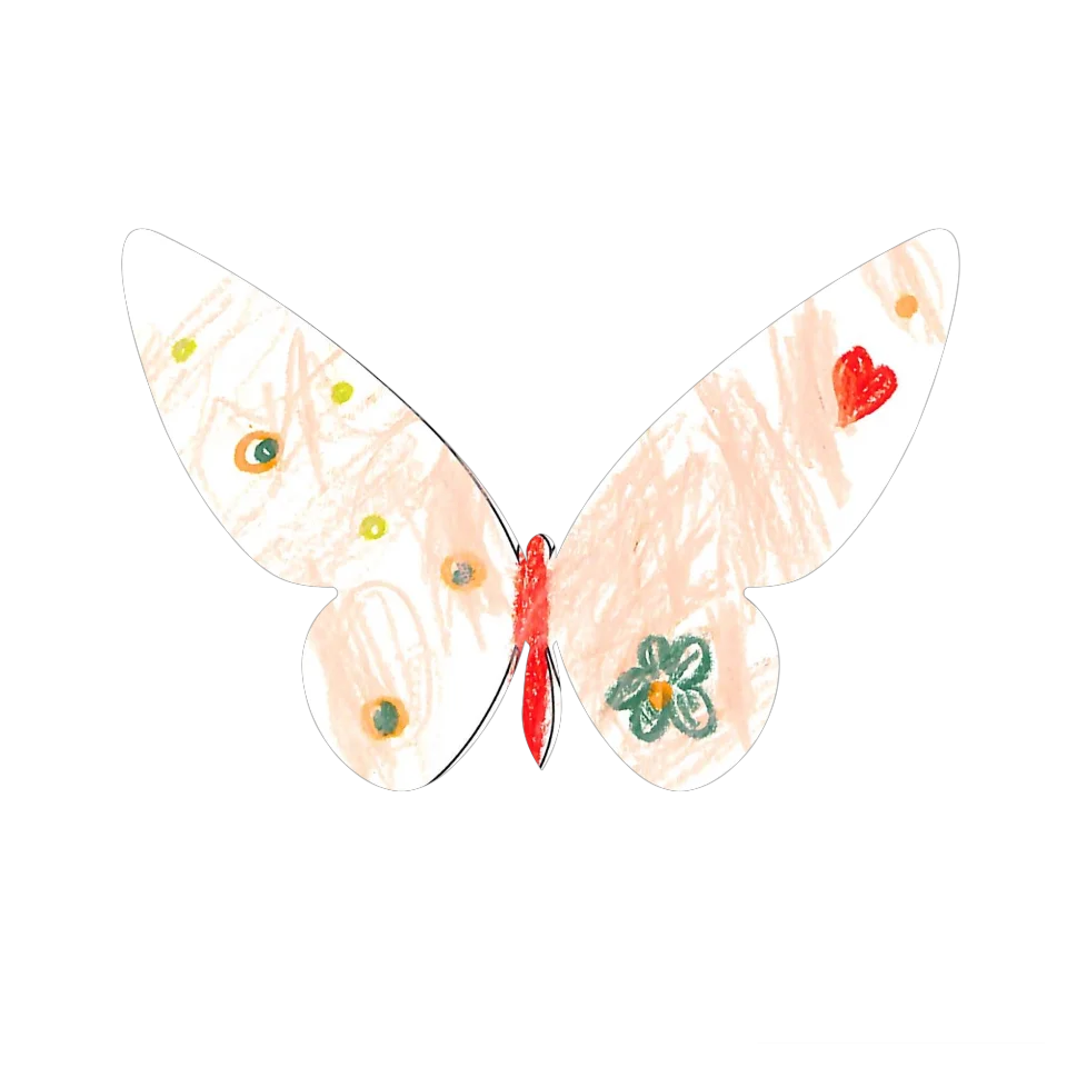 Original Butterfly Image