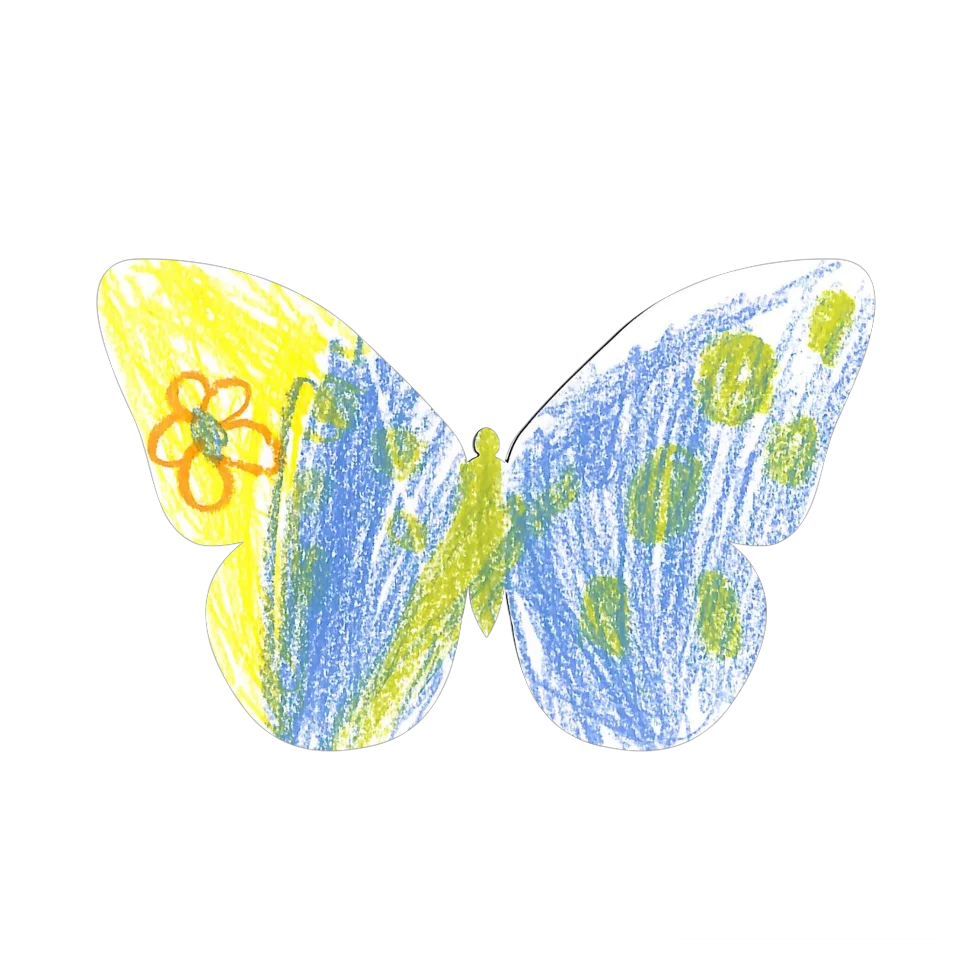 Original Butterfly Image