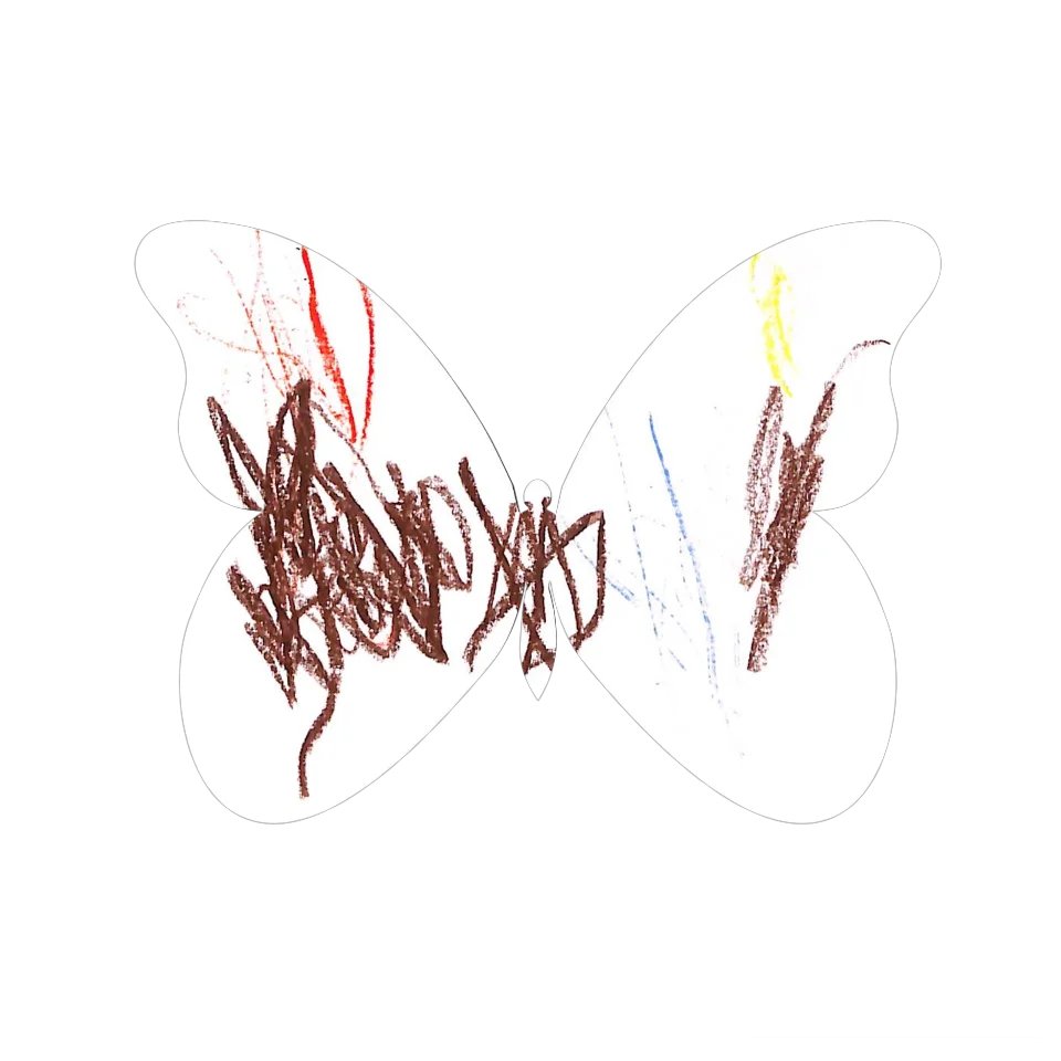 Original Butterfly Image