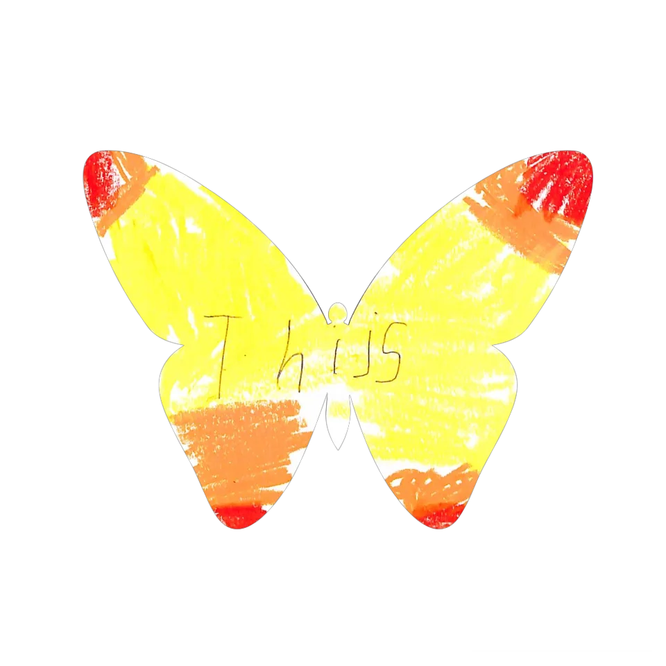 Original Butterfly Image