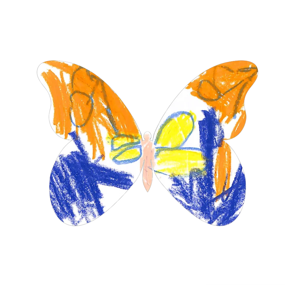 Original Butterfly Image
