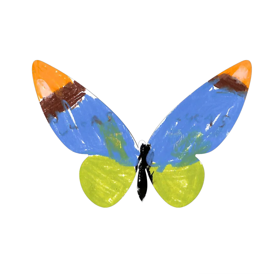 Original Butterfly Image