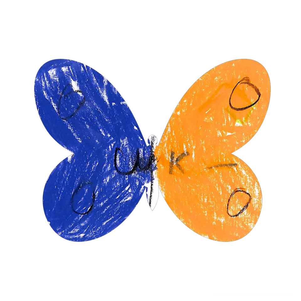 Original Butterfly Image
