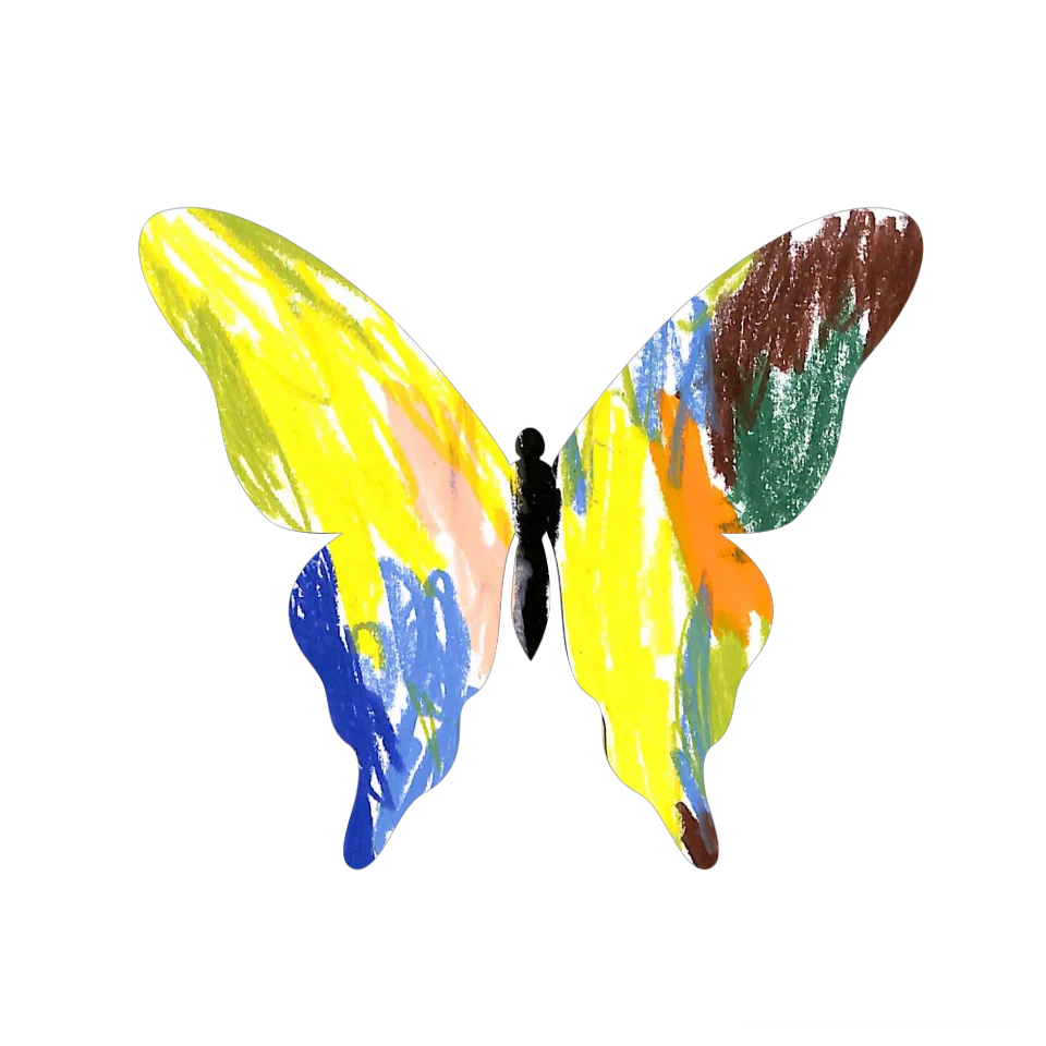 Original Butterfly Image