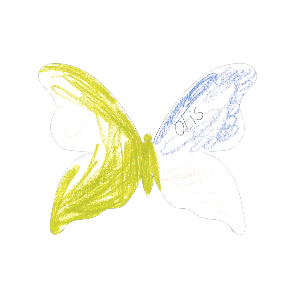 Original Butterfly Image