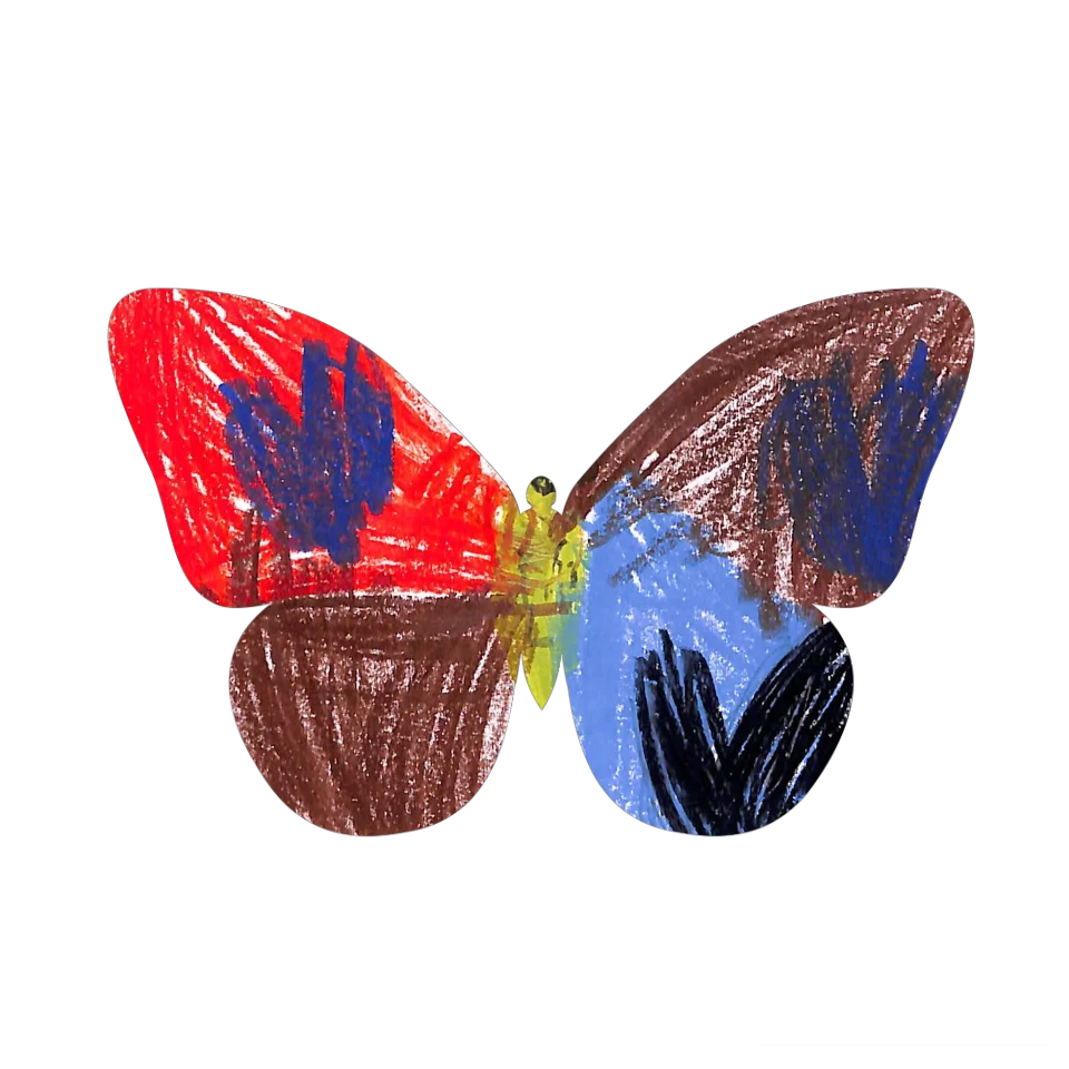 Original Butterfly Image