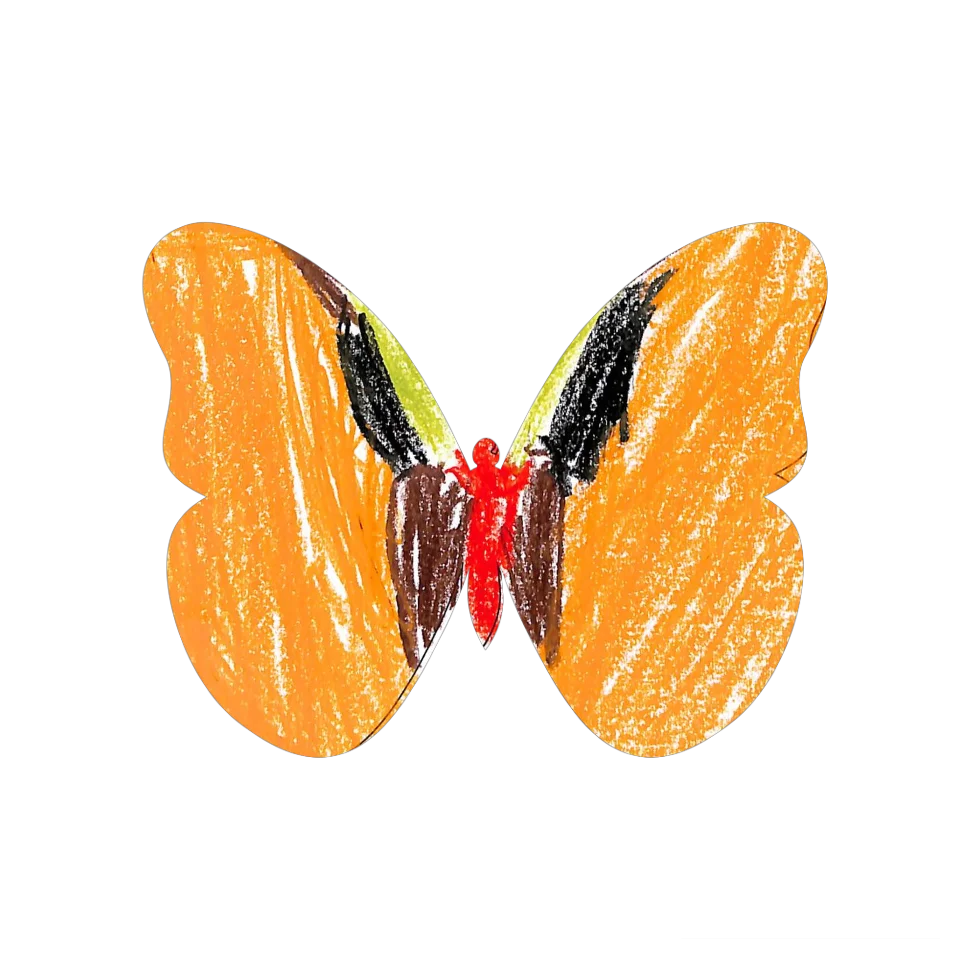 Original Butterfly Image