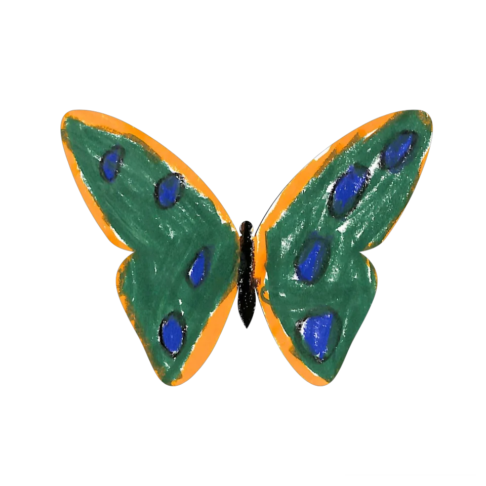 Original Butterfly Image