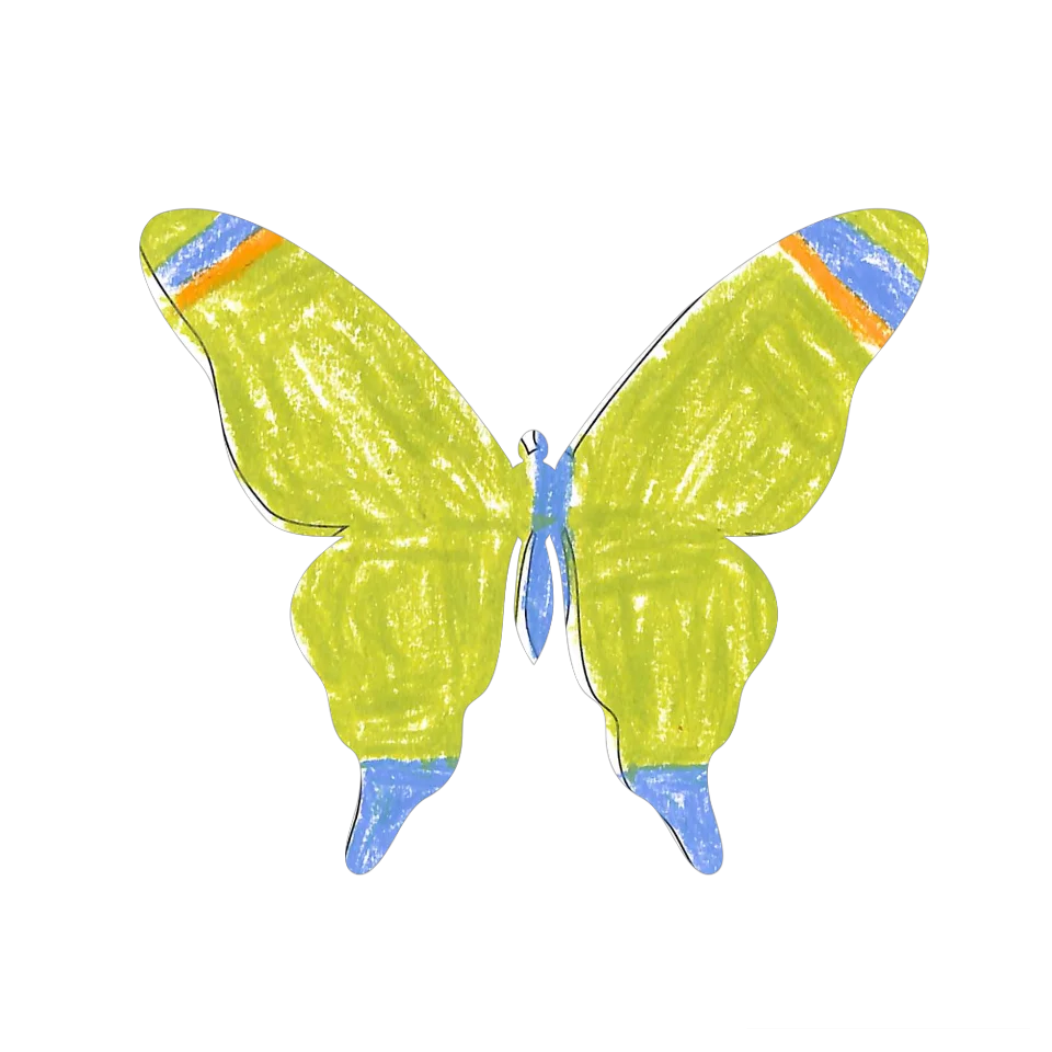 Original Butterfly Image