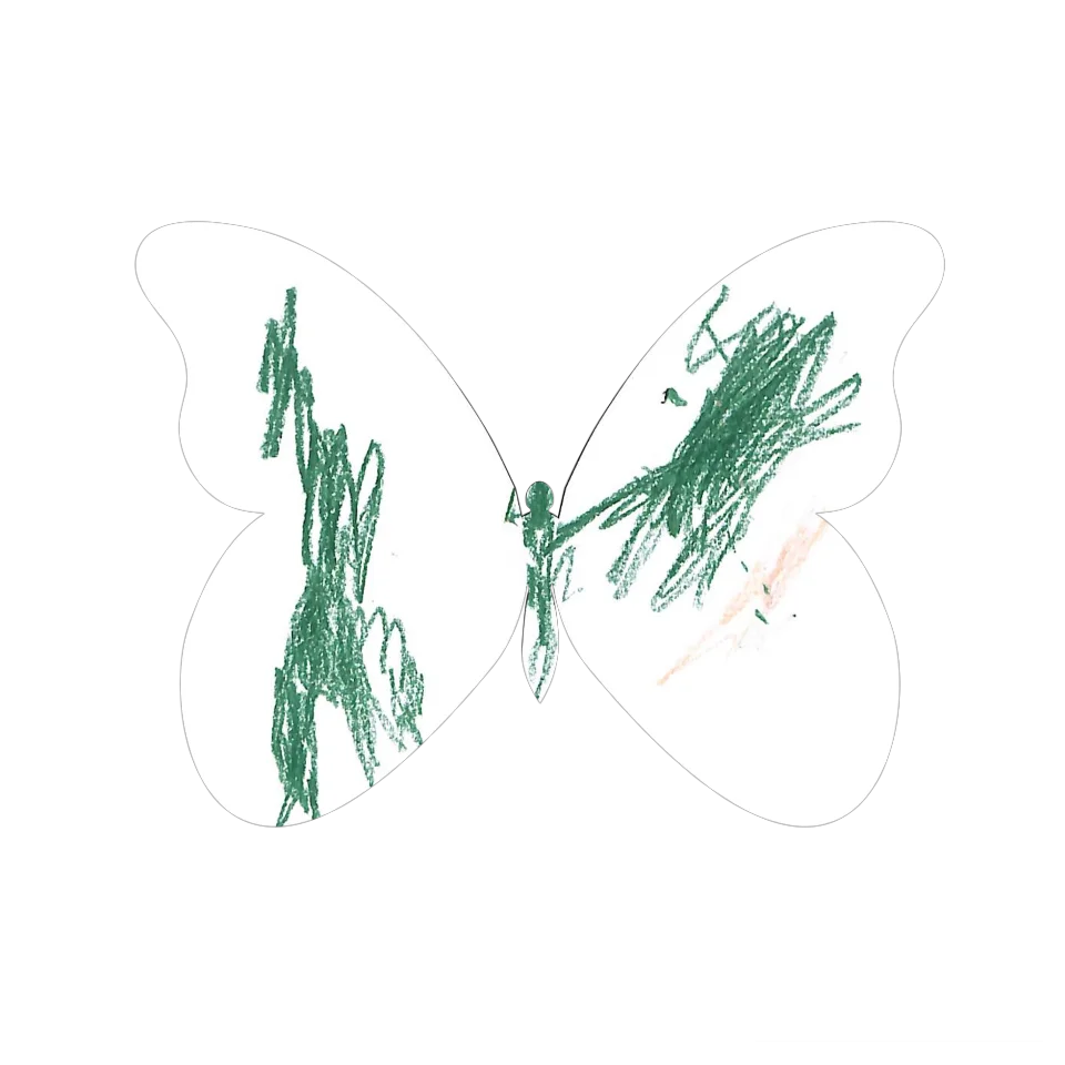 Original Butterfly Image