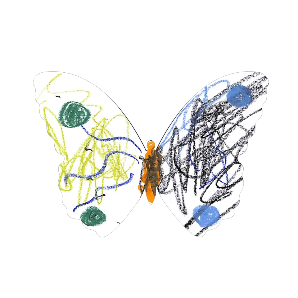 Original Butterfly Image