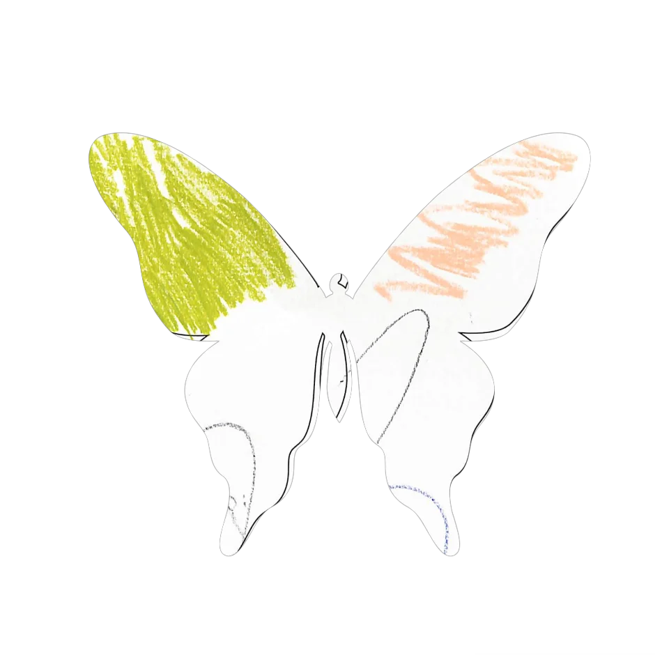 Original Butterfly Image