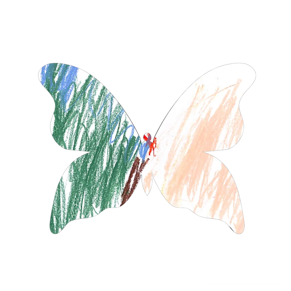 Original Butterfly Image