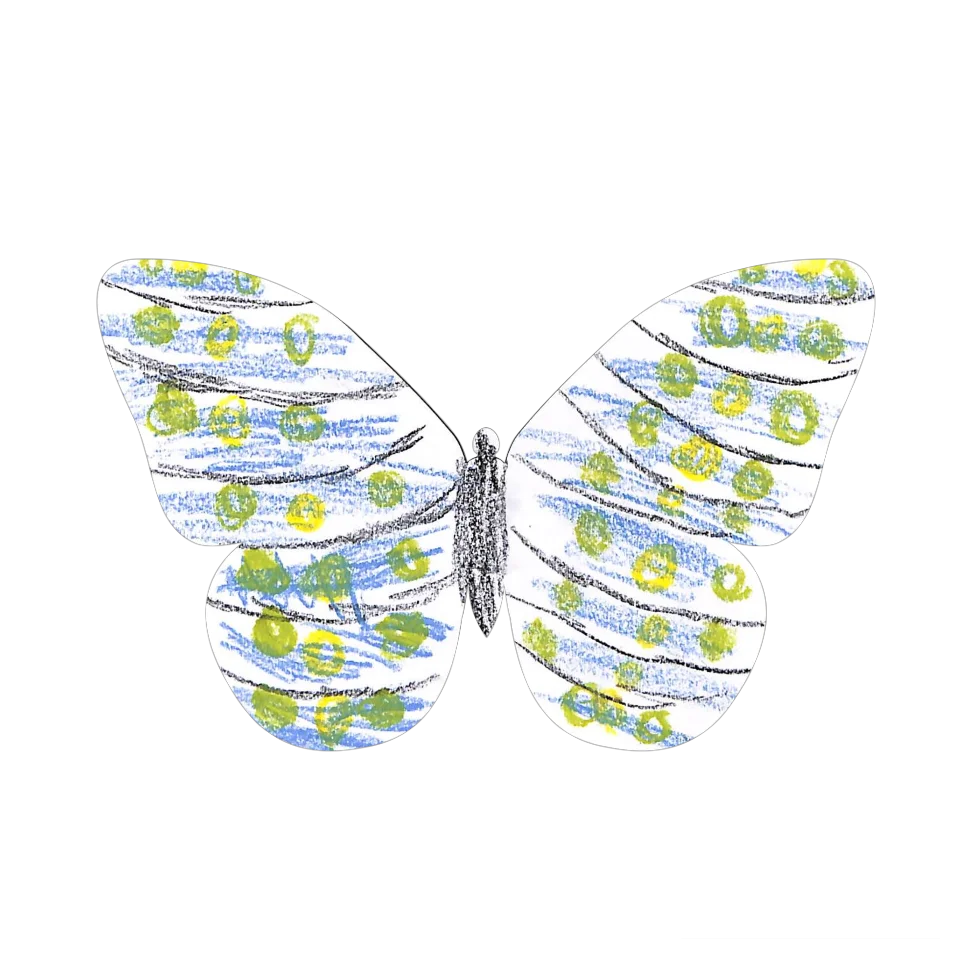Original Butterfly Image