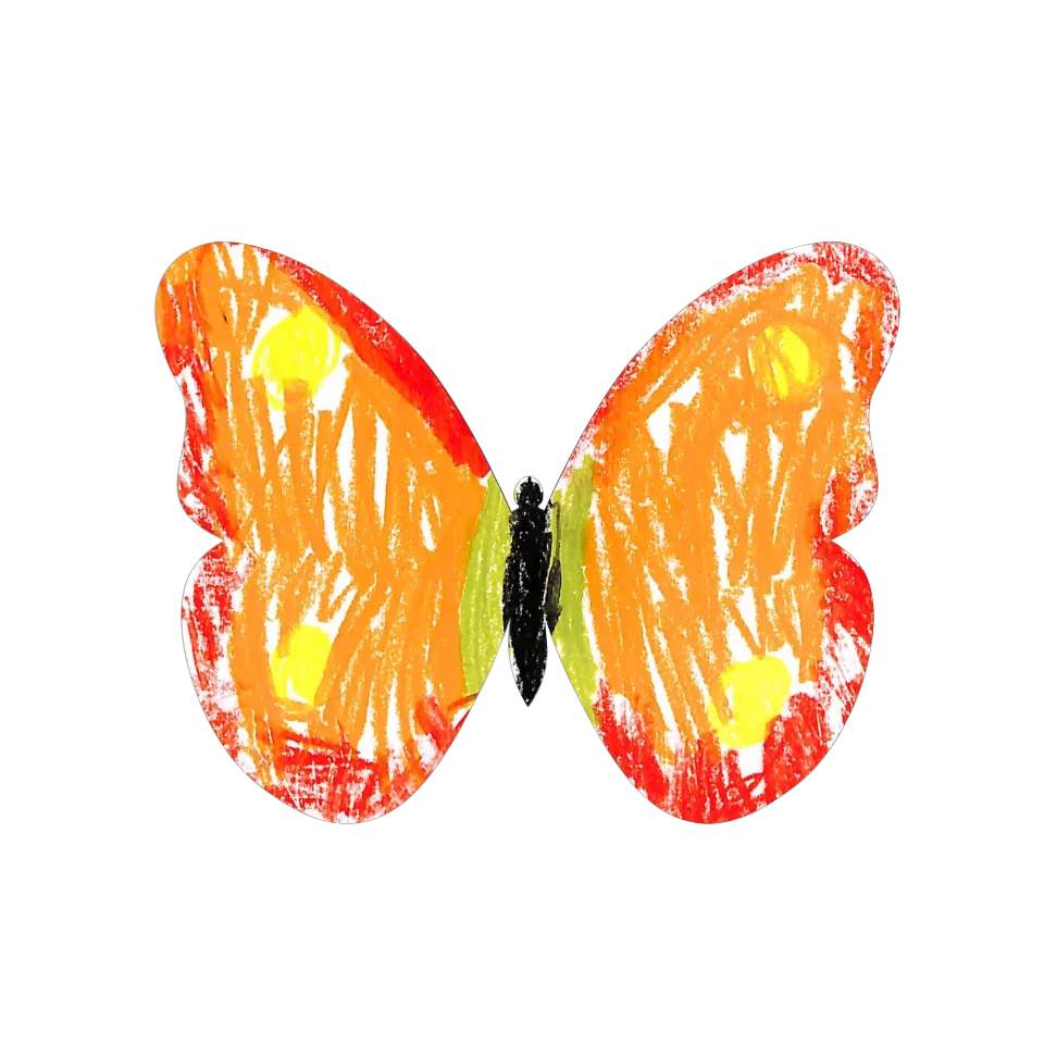 Original Butterfly Image