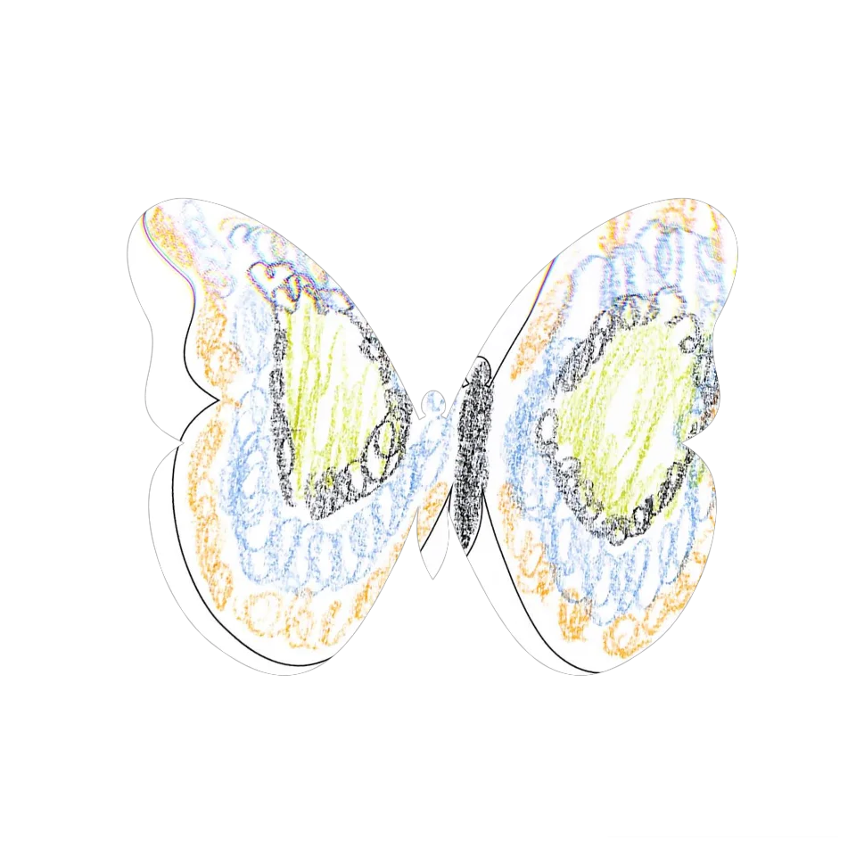 Original Butterfly Image