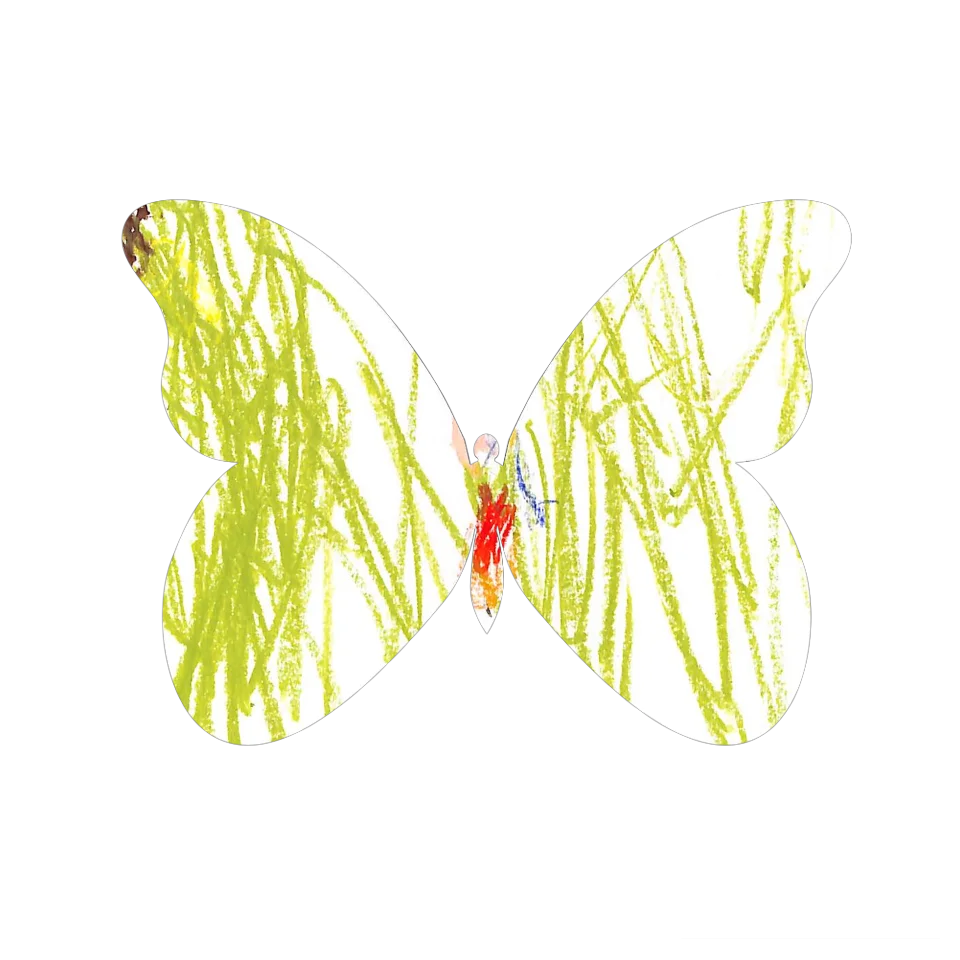 Original Butterfly Image
