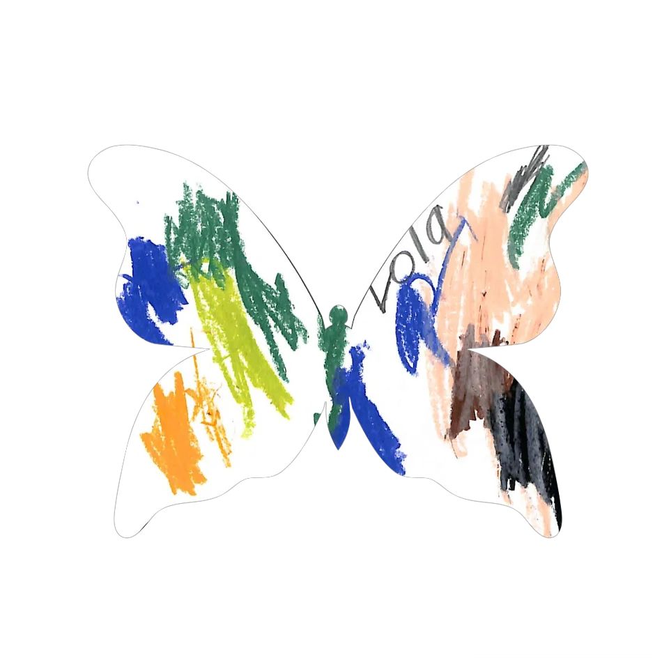 Original Butterfly Image