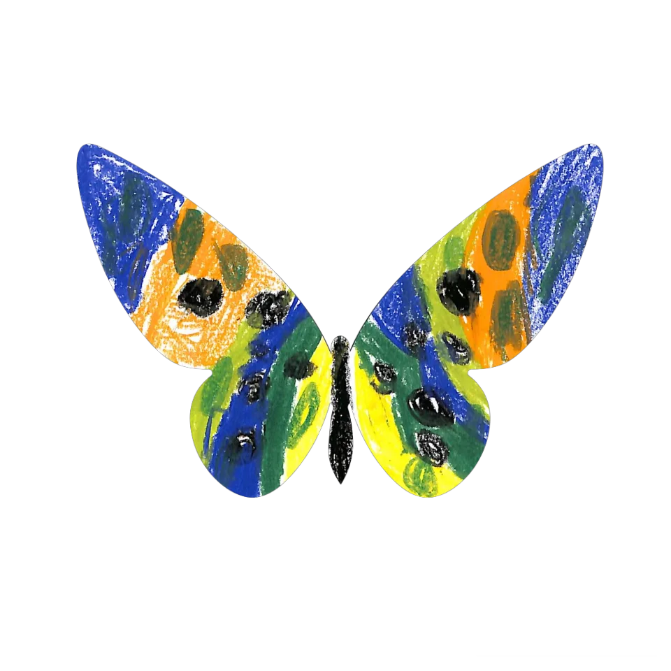 Original Butterfly Image