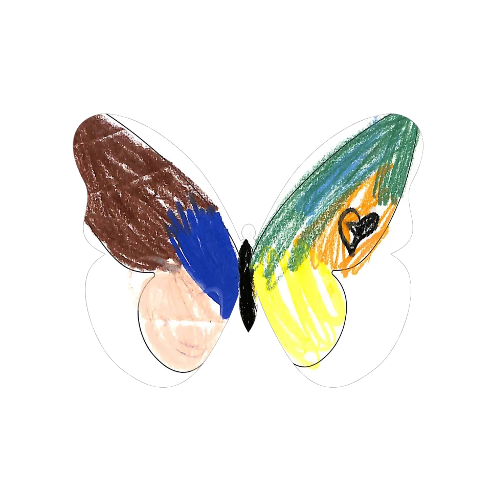 Original Butterfly Image