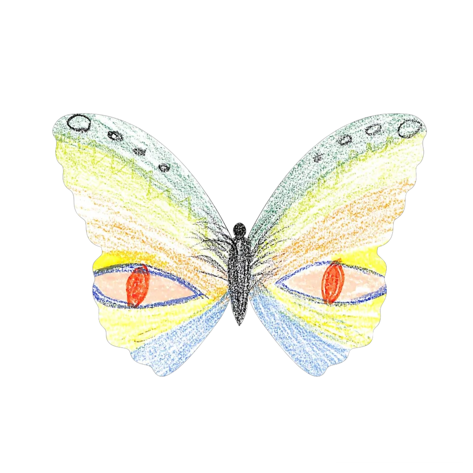 Original Butterfly Image