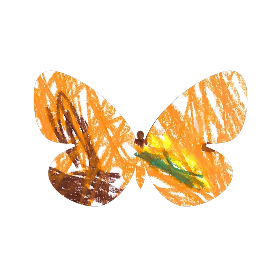 Original Butterfly Image