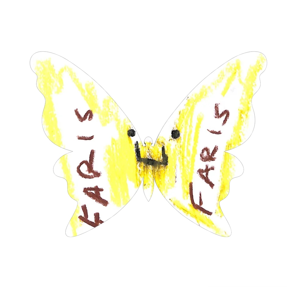 Original Butterfly Image