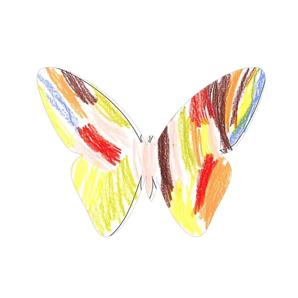 Original Butterfly Image