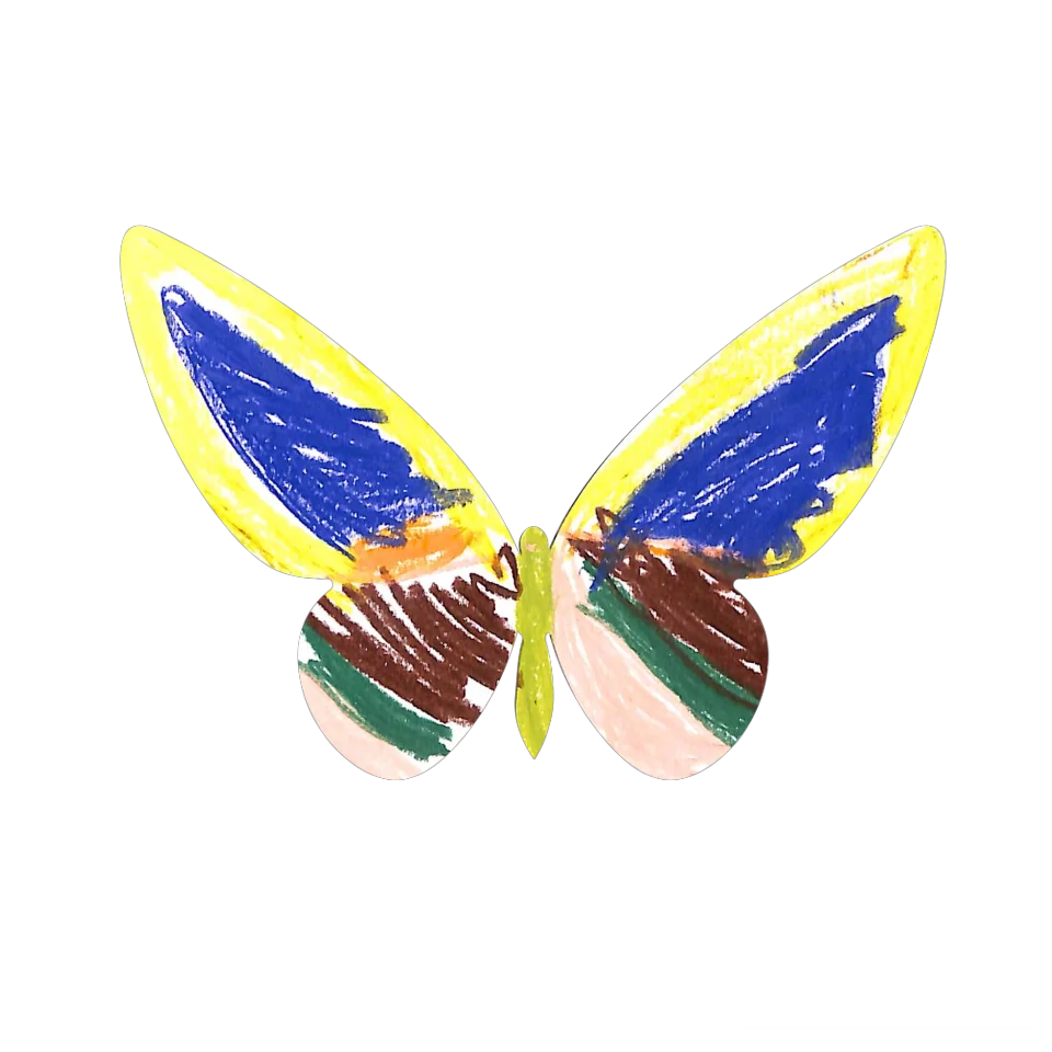 Original Butterfly Image