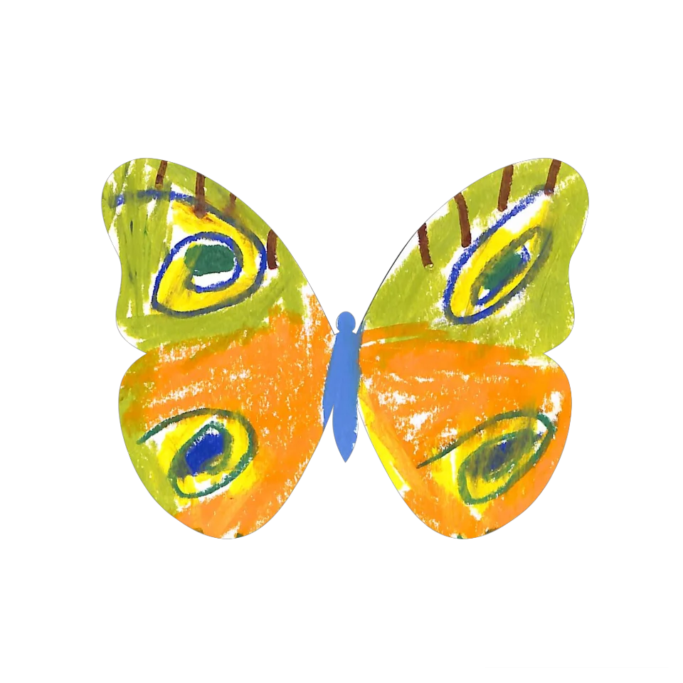Original Butterfly Image