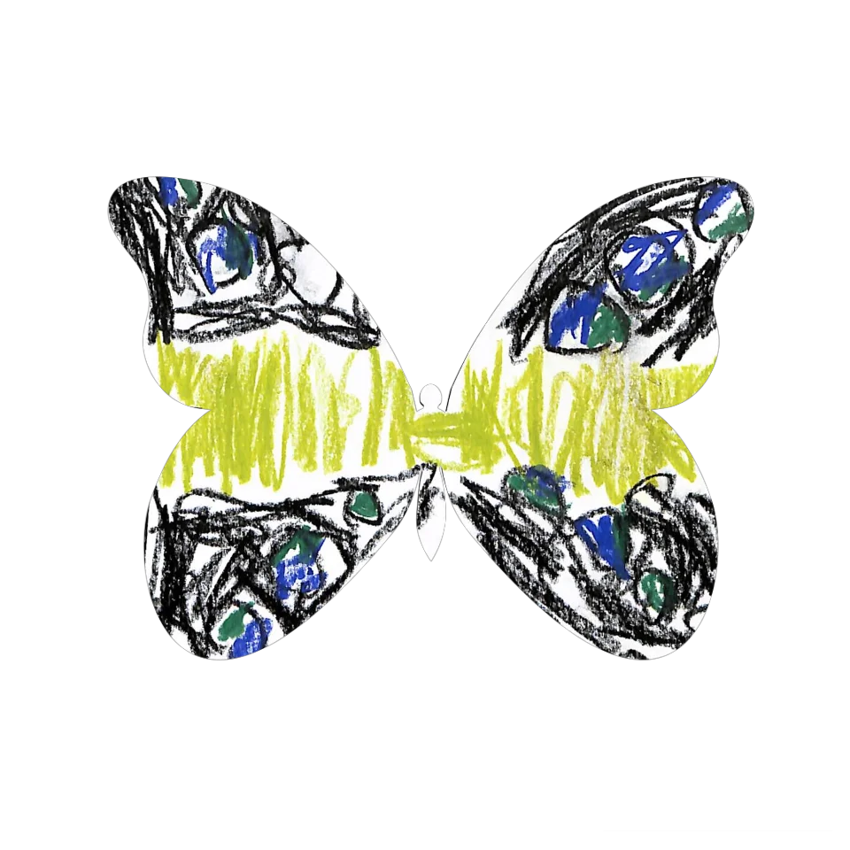 Original Butterfly Image