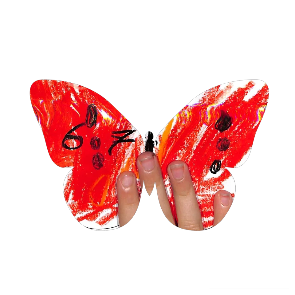 Original Butterfly Image