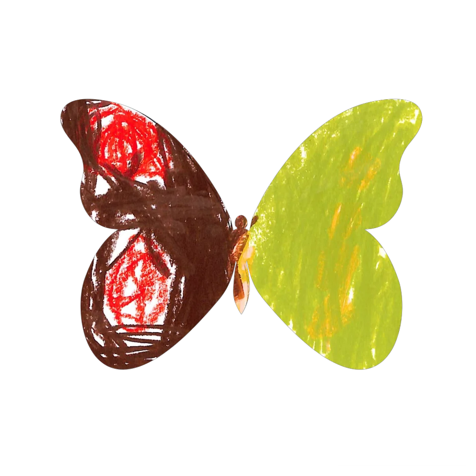 Original Butterfly Image