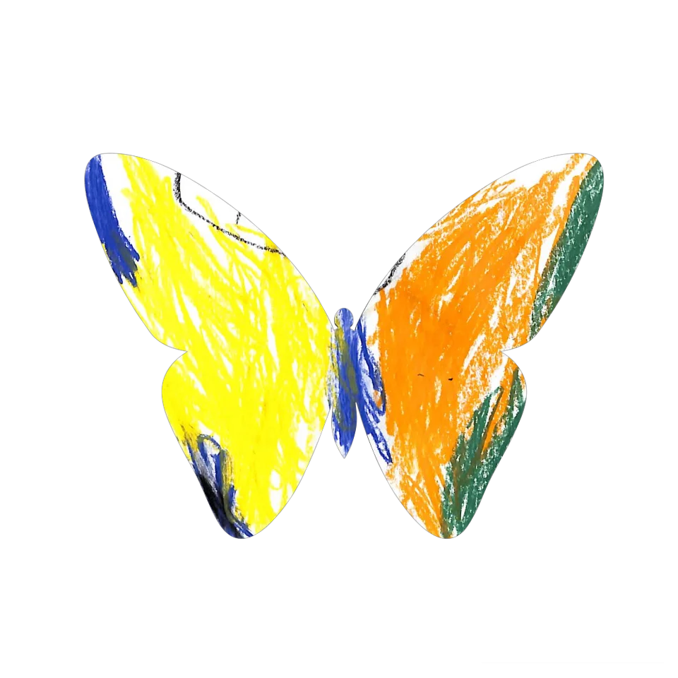 Original Butterfly Image