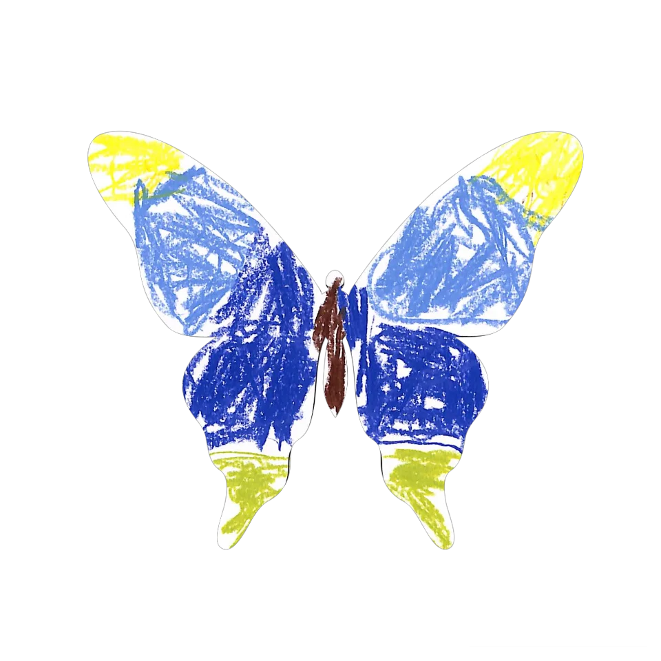 Original Butterfly Image