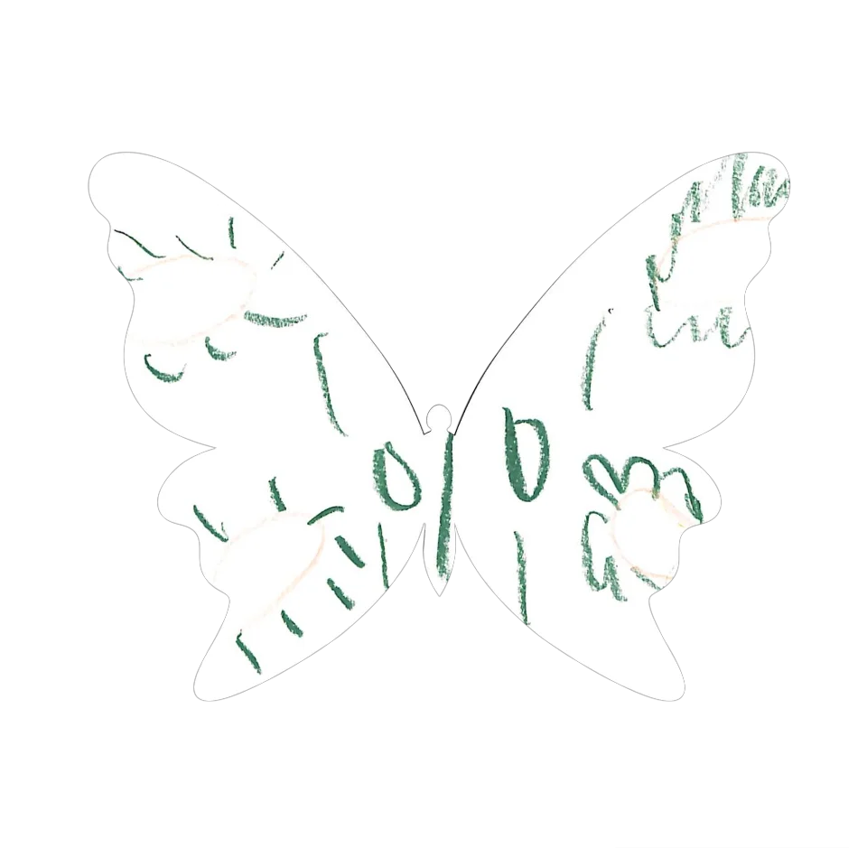 Original Butterfly Image