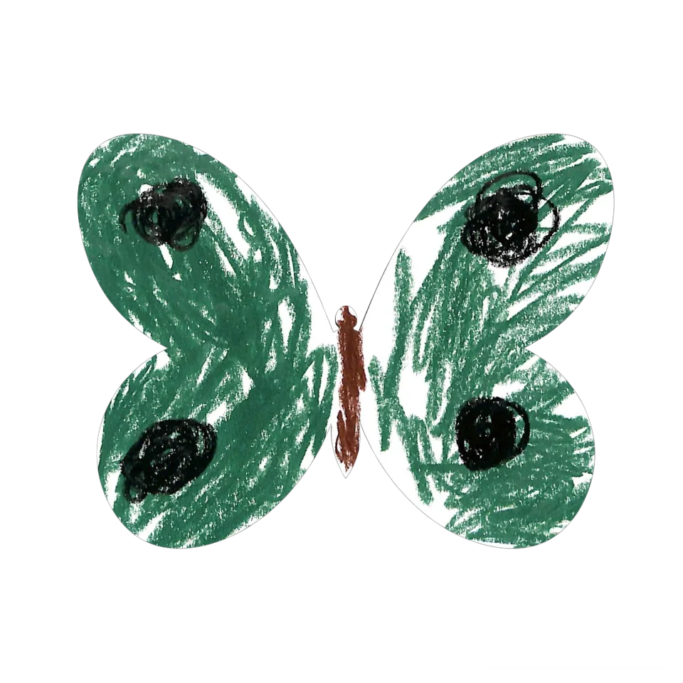 Original Butterfly Image