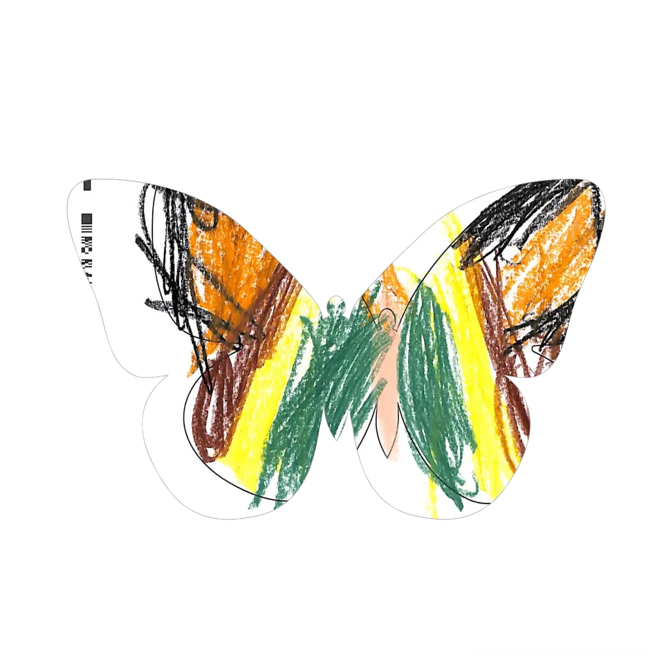 Original Butterfly Image
