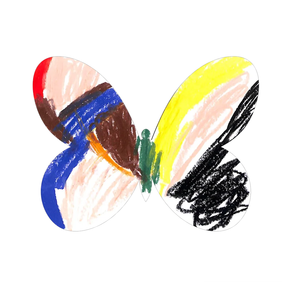Original Butterfly Image