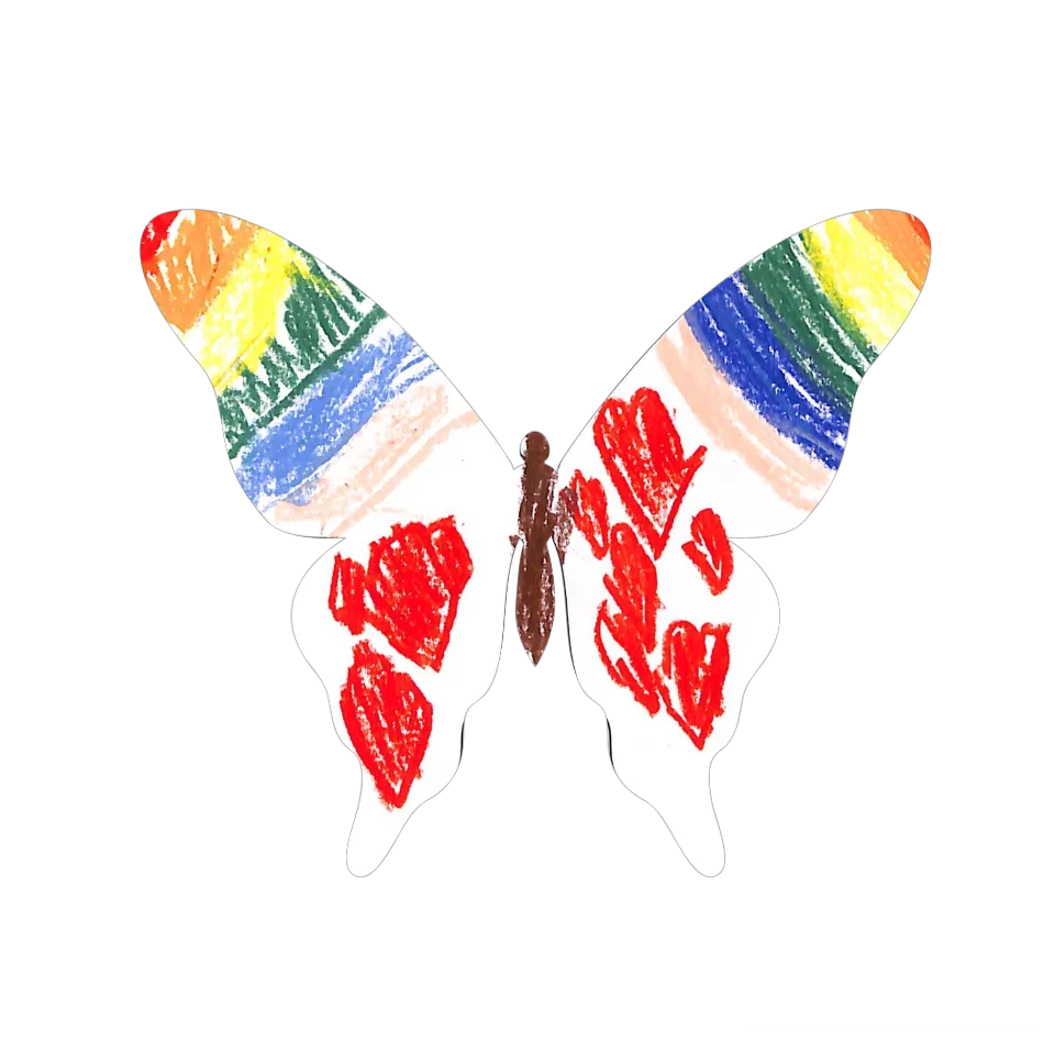 Original Butterfly Image