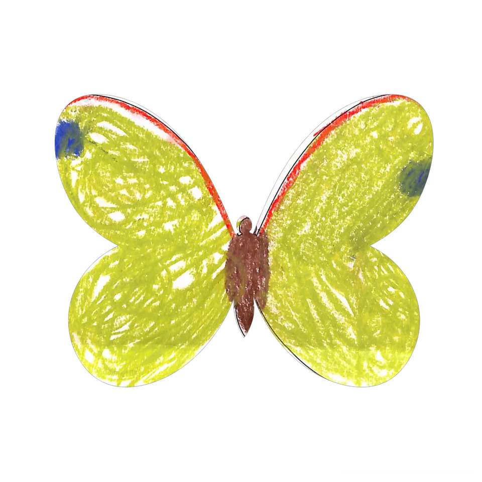 Original Butterfly Image