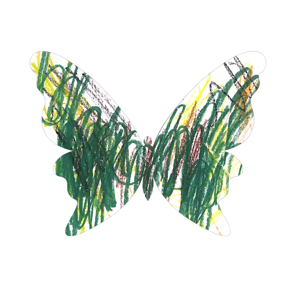 Original Butterfly Image