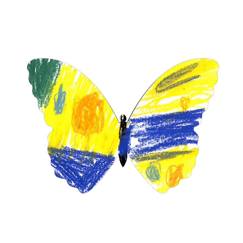 Original Butterfly Image