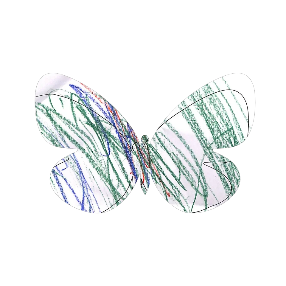Original Butterfly Image